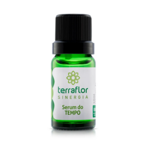 Terceiro Slide